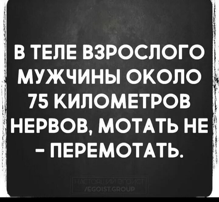 Высказывание про нервную систему смешное. Афоризмы про нервную систему. Высказывания про нервы смешные. Цитаты про нервную систему. Начало трясти от мужа