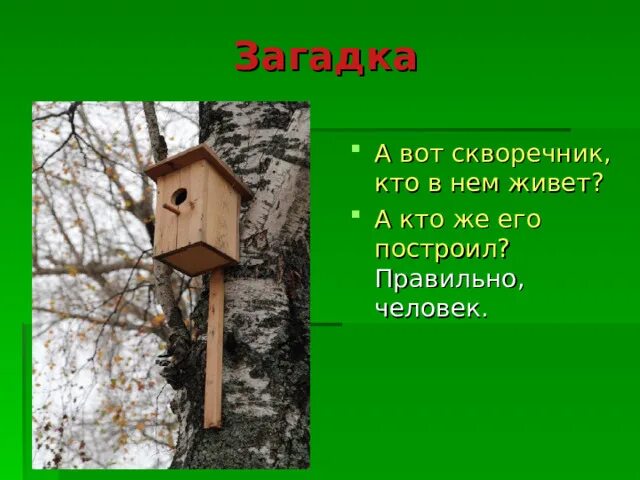 Экологическая акция скворечник. Скворечник для детей. Проект скворечник для птиц. Презентация скворечник для птиц. Скворечник для детей.