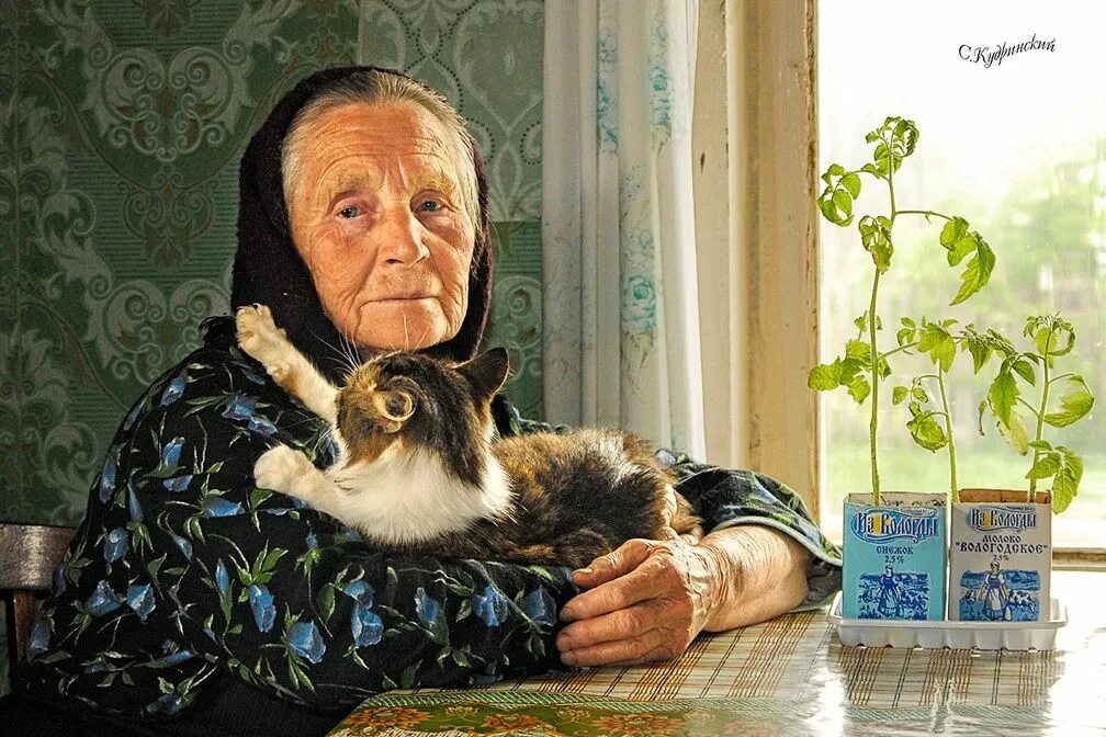 Остановитесь бабушки. Бабушка с кошкой. Старушка с кошкой. Бабка с кошками. Деревенские коты.