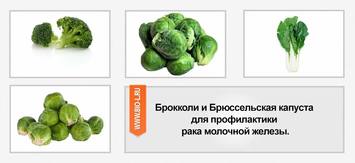 Сорта культурных растений капуста. Строение цветной капусты. Капуста при онкологии. Капуста при онкологии. Капуста пекинская краснокочанная.