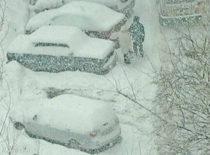 Замело завьюжило замело юля гаврилина