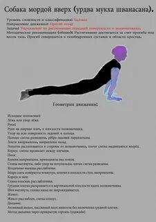 Собака мордой вверх