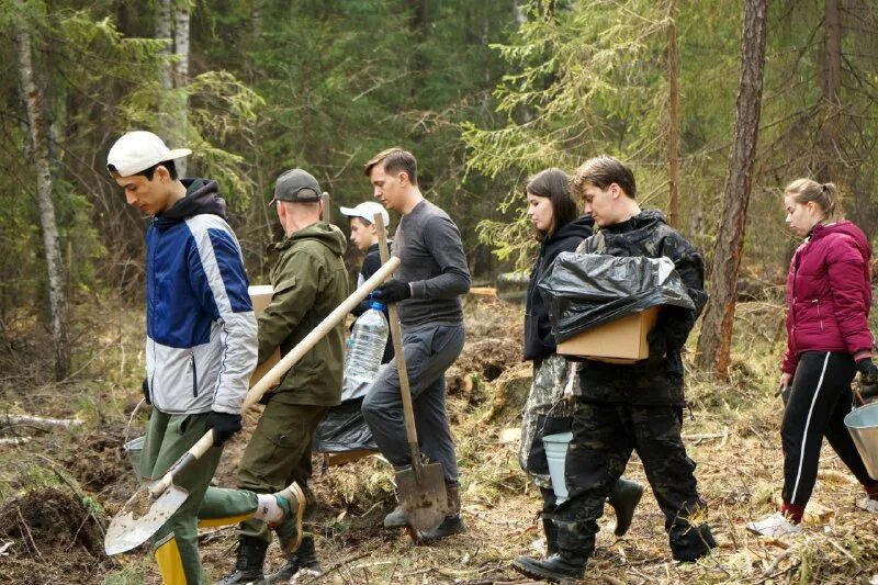 Семья на прогулке в лесу. Студенты в лесу устроили. Студенты в лесу 2. Студенты 2014. Практика в лесу.
