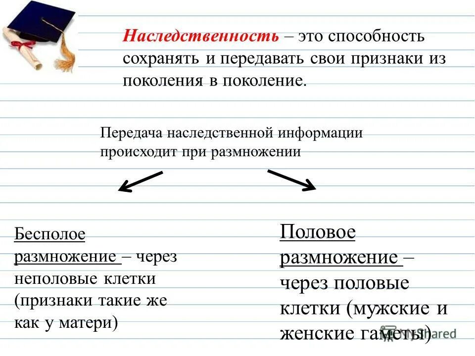 Передача наследственной информации из поколения в поколение. Передают наследственные признаки. Наследственной информации в признак.