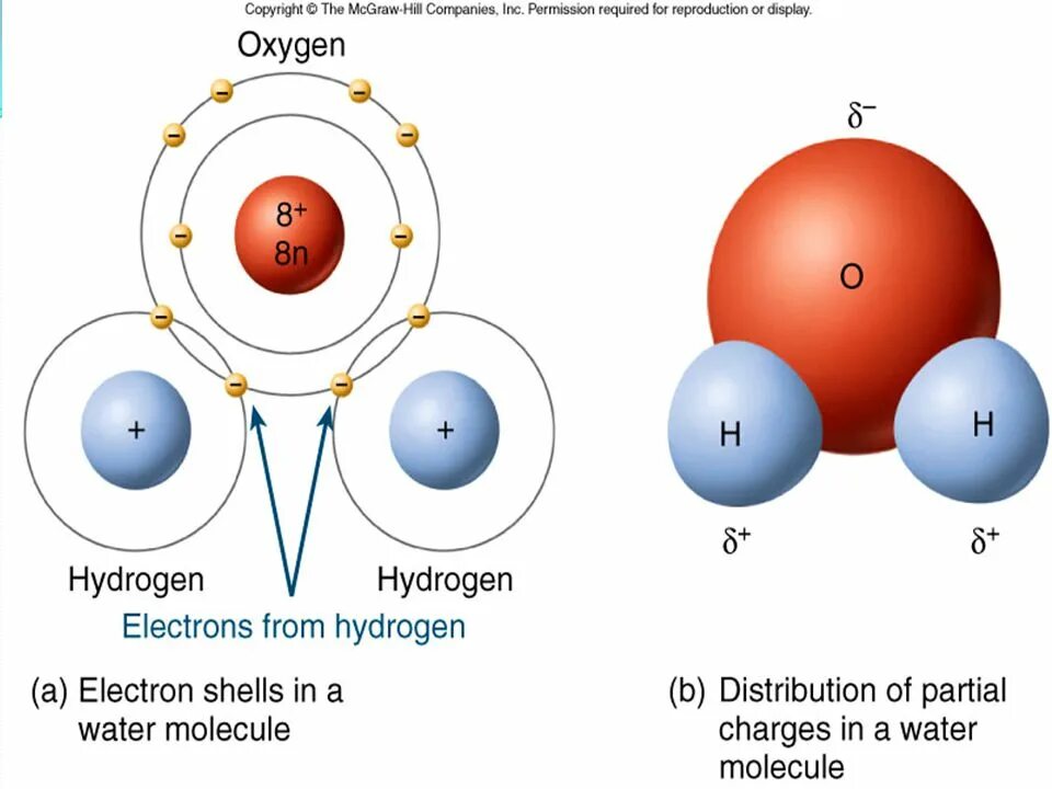 1 водород кислород вода. Химическая связь воды. Химическая связь в молекуле воды. Связи в молекуле воды. Образование химической связи в молекуле воды.