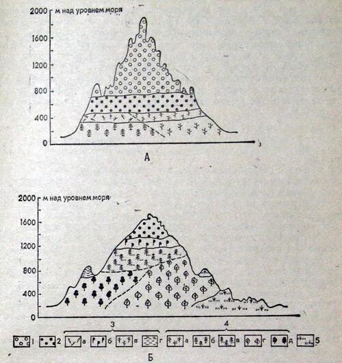 Уральские горы высотная поясность. Уральские горы Высотная поясность схема. Высотная поясность Южного Урала. Схема ВЫСОТНОЙ поясности Урала. Горы Южной Сибири Высотная поясность.