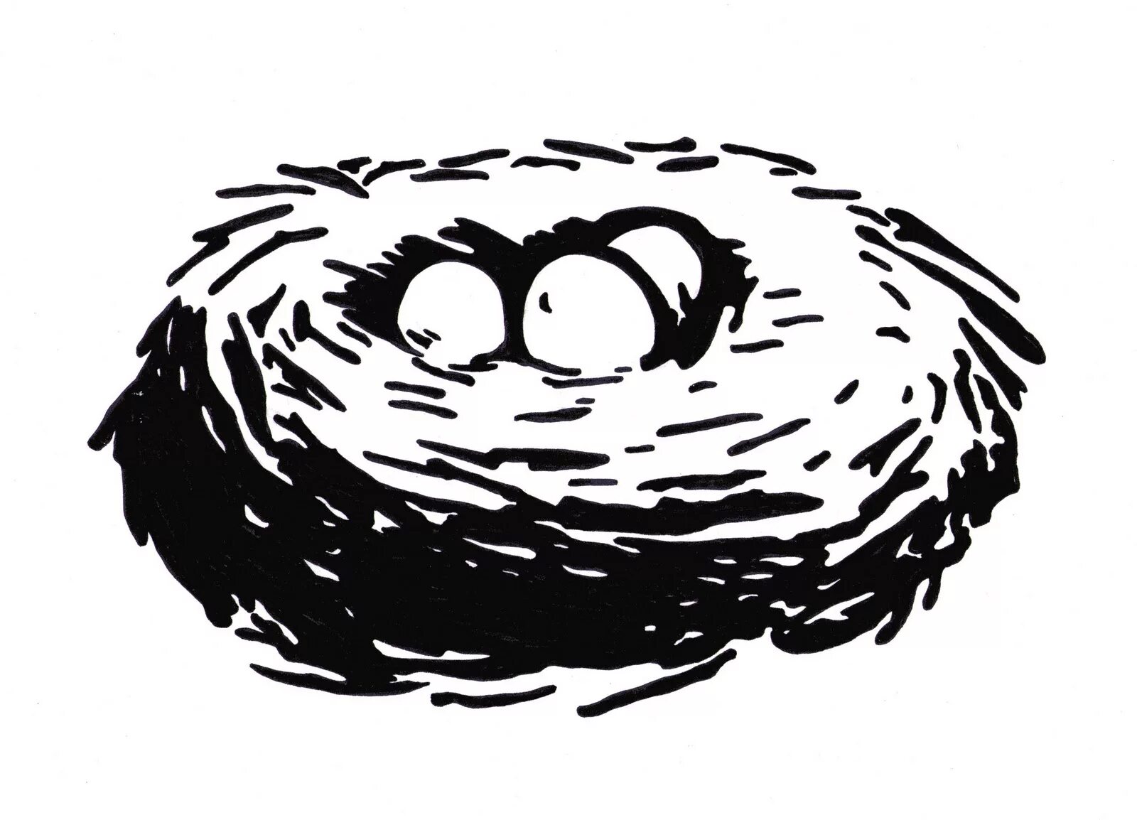 Nest static