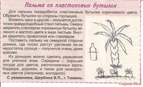Из пластиковых бутылок инструкция