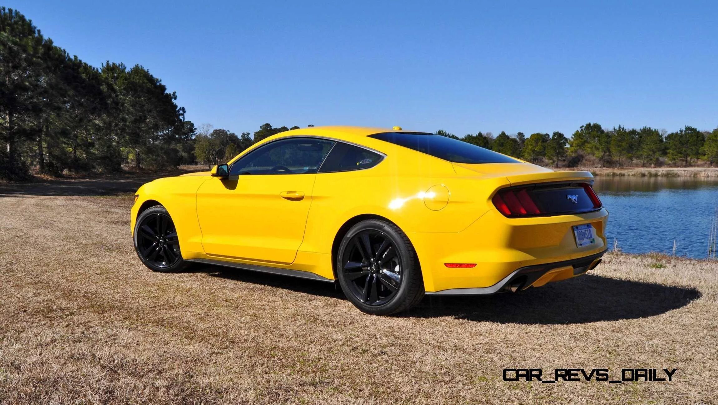 Pin by Marco A. Colon on Mustangs Mustang, 2016 mustang, Bmw car