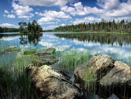 Жемчужина северо запада