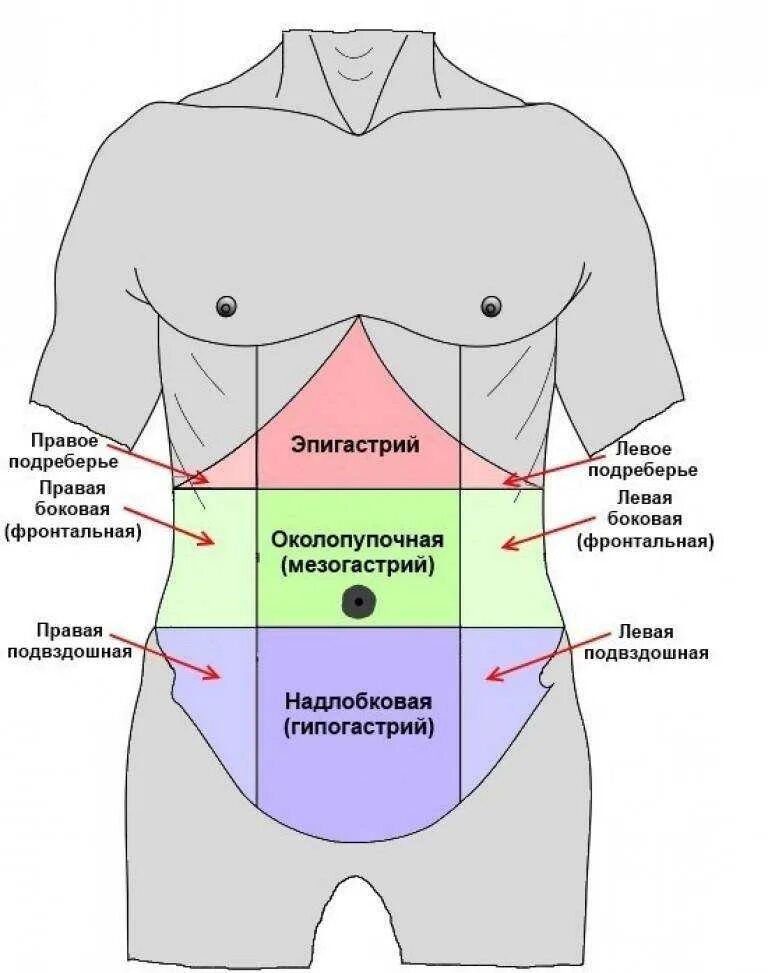 Болит слева бок живота у женщины. Эпигогостральная область. Области живота. Эпигастральной области. Эпигастрий мезогастрий.