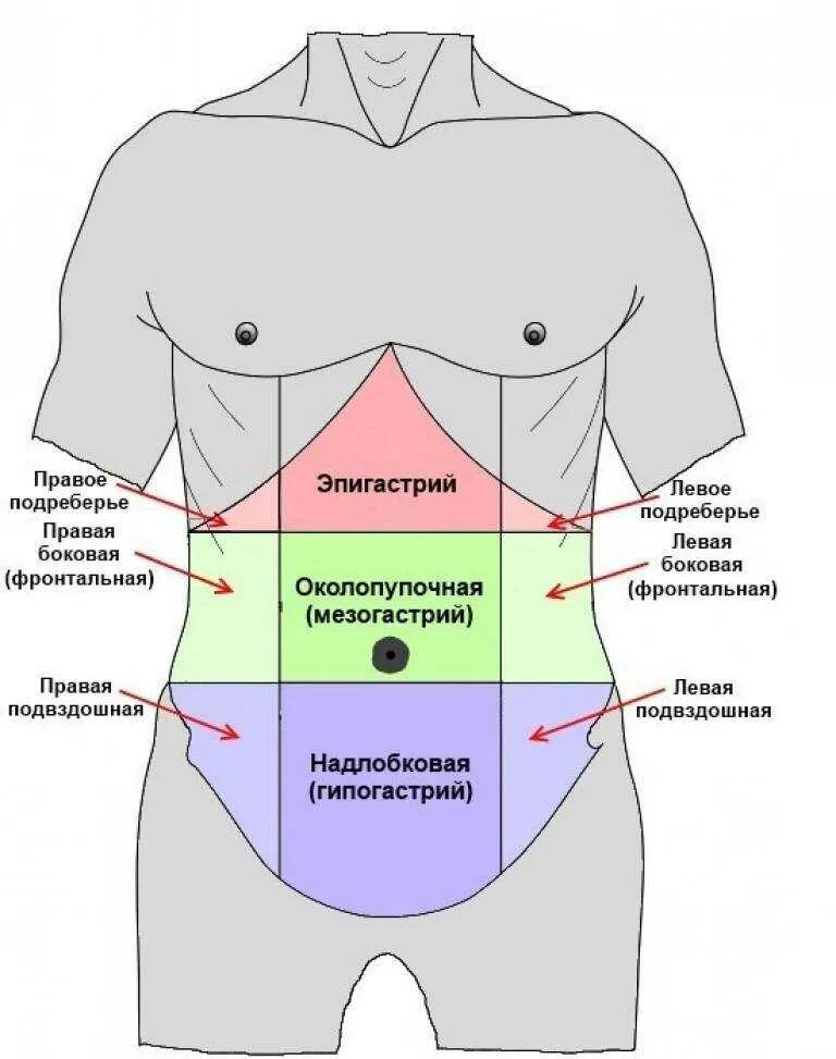 Эпигогостральная область. Области живота. Эпигастральной области. Эпигастрий мезогастрий.