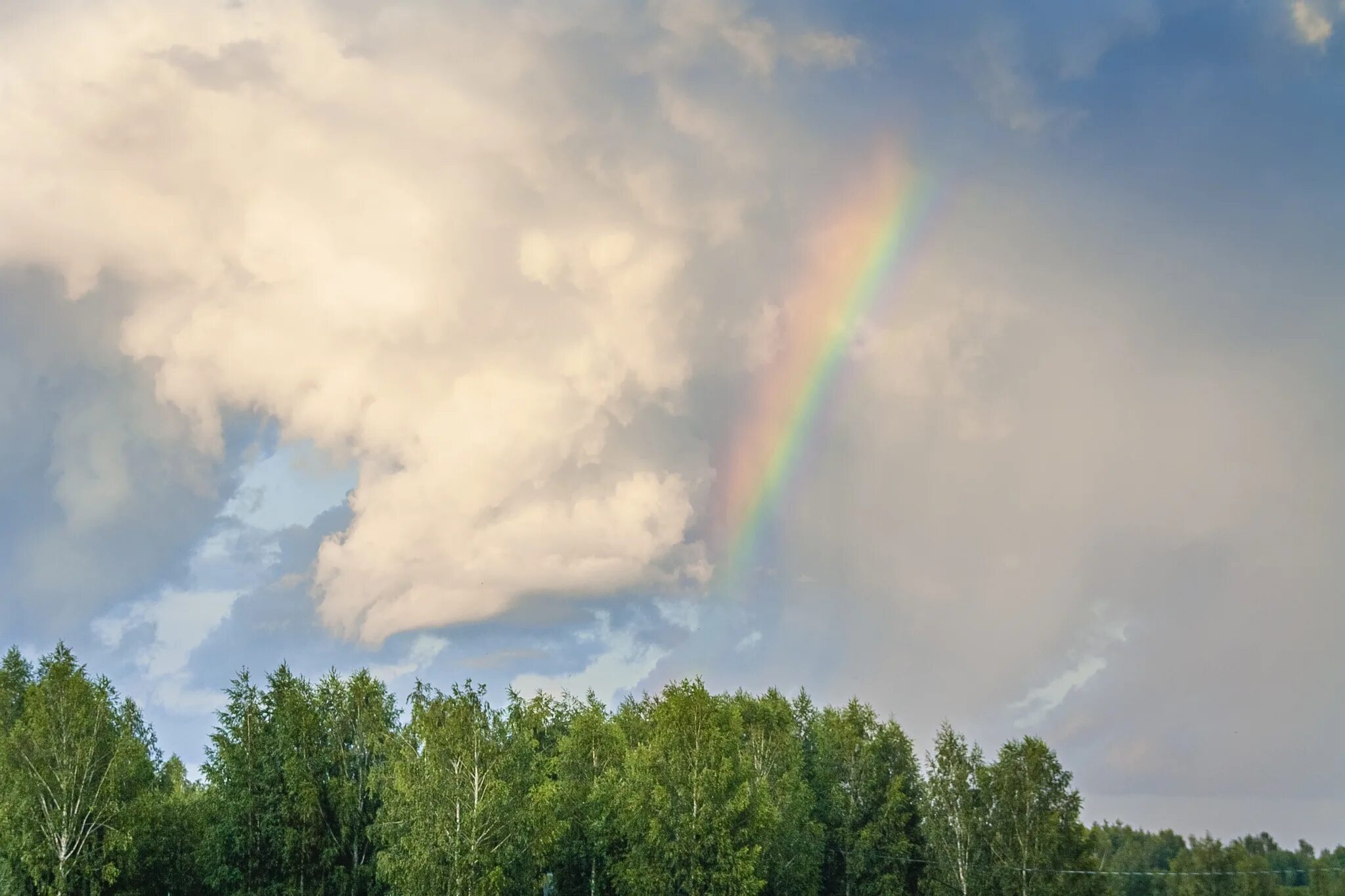 Радуга в небе после дождя читать. Радуга в небе после дождя читать. Небо радуга дождь. Радуга в небе. Радуга в небе после дождя читать.