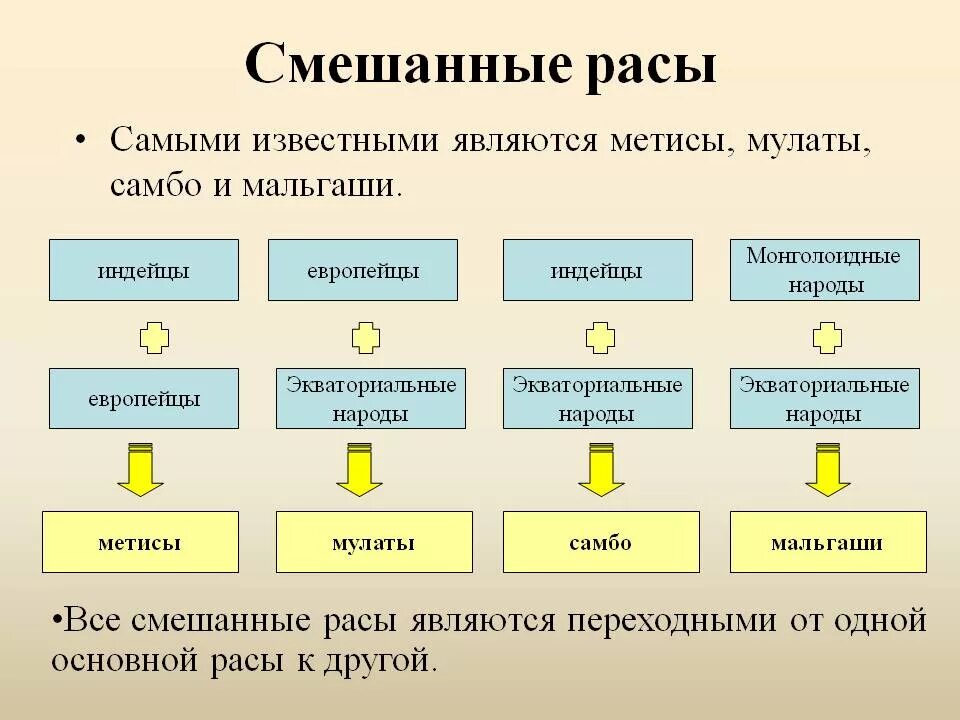 Смешанные расы людей