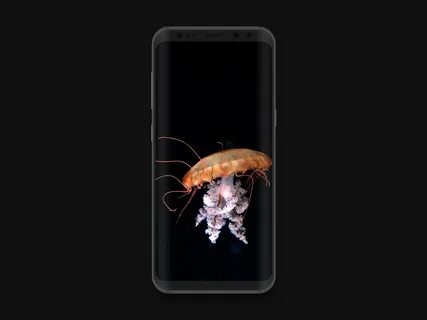 Crystalres amoled