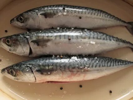 Как сварить скумбрию свежемороженую