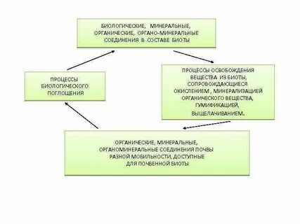 Определение биологического процесса