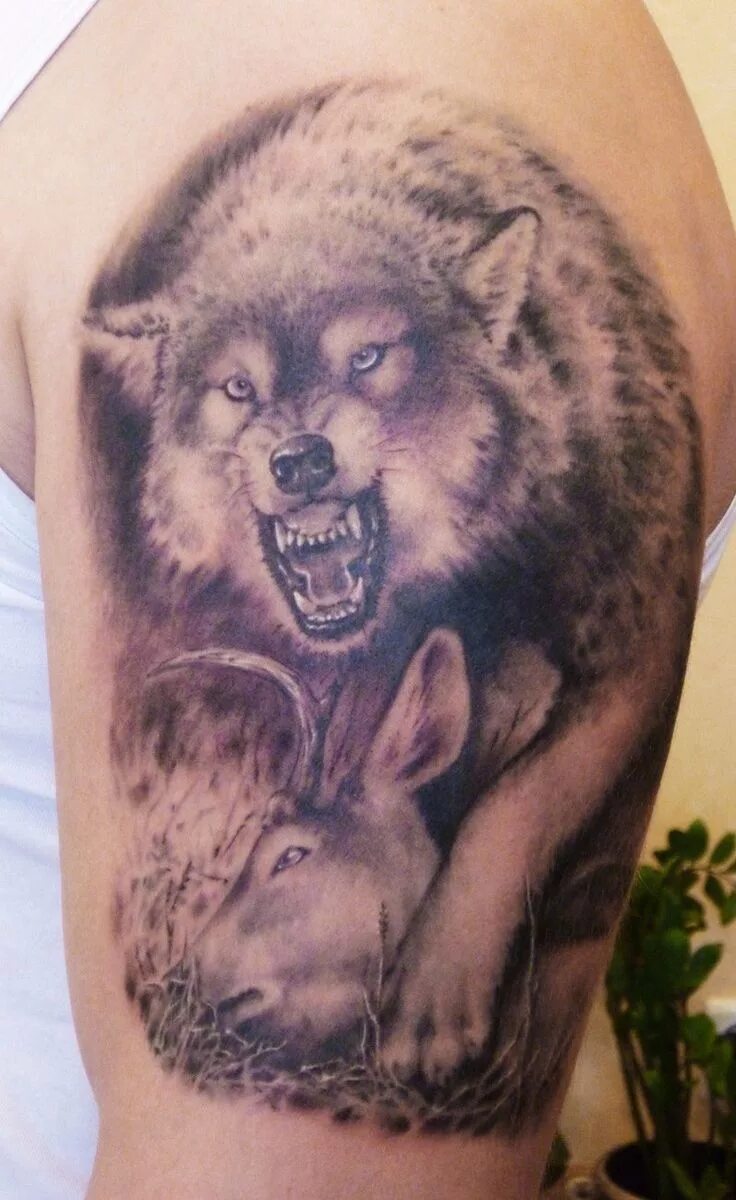 Tattoos, Tattoo studio, Wolf tattoo