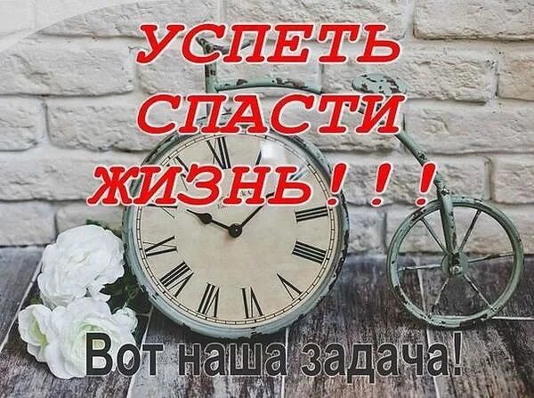 Цитаты про все успеть. Поступлений нет. Успеть спасти. Сос спасите жизнь. Не успела помочь.