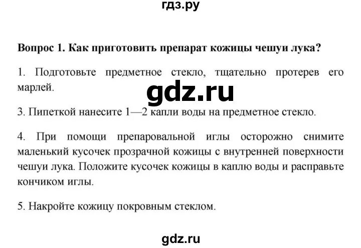 Конспект урока биологии 5 класс пасечник. Вопросы про клетку. Пасечник 7 стр отвстр25.