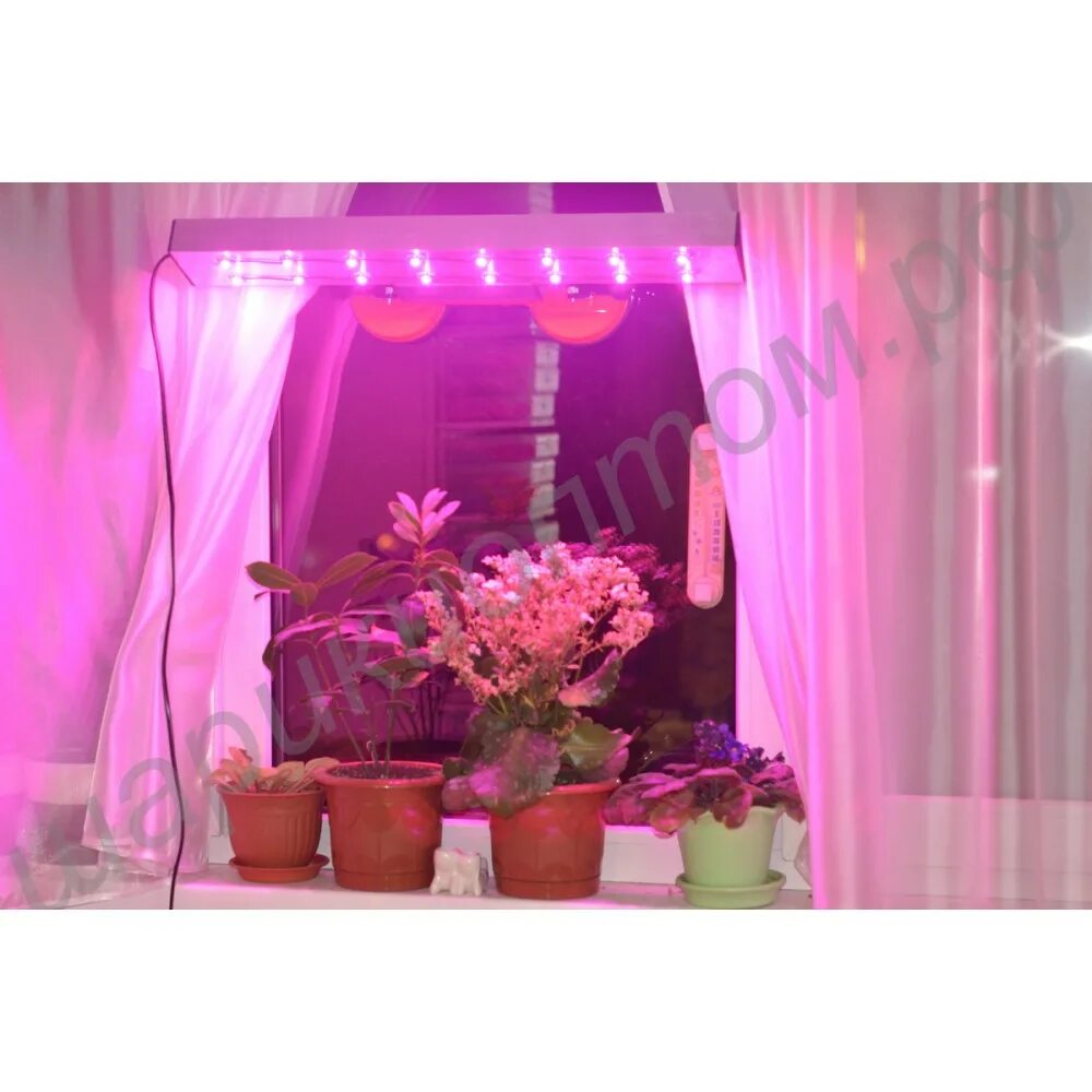 Фитолампа для растений е27. Фитосветильник эра fito-12w-fled розовый. Luazon lighting фитосветильник светодиодный. Фитолампа 10 ватт для растений. Фитосветильник на присосках.