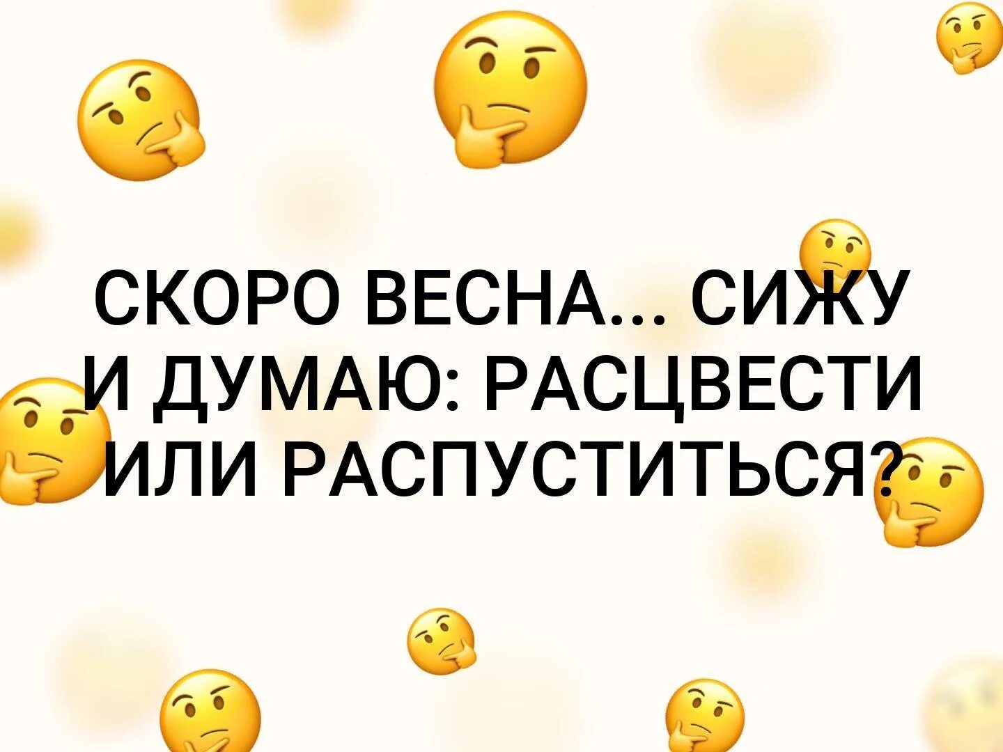 Расцвести или распуститься. Весенние мудрости. Сижу и думаю расцвести или распуститься. Жду весну. Цитаты про весну прикольные.