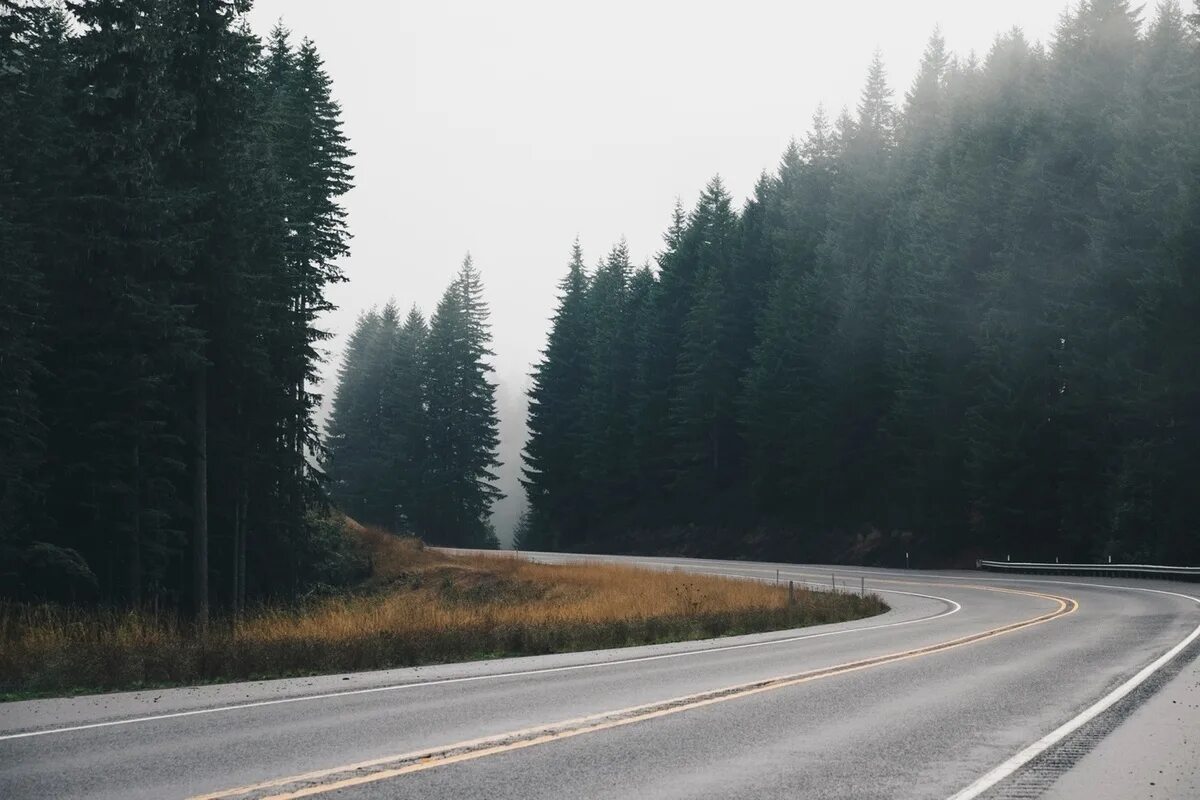 Дорога хвойную. Дорога рядом с лесом. Лес вдоль дороги. Дорога в лесу. Трасса в лесу.
