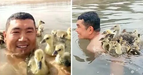 Включить видео уточек