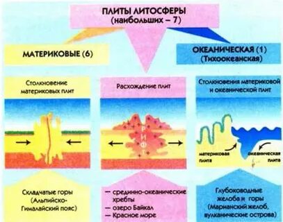 Строение материковых и океанических литосферных плит одинаково