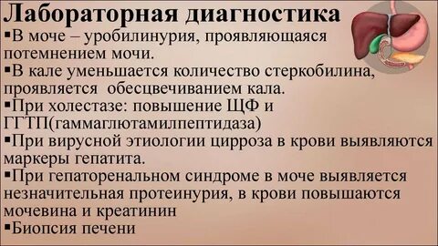 Печень запах из рта