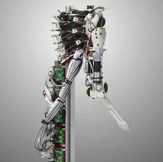 Robotics limb base skeletons