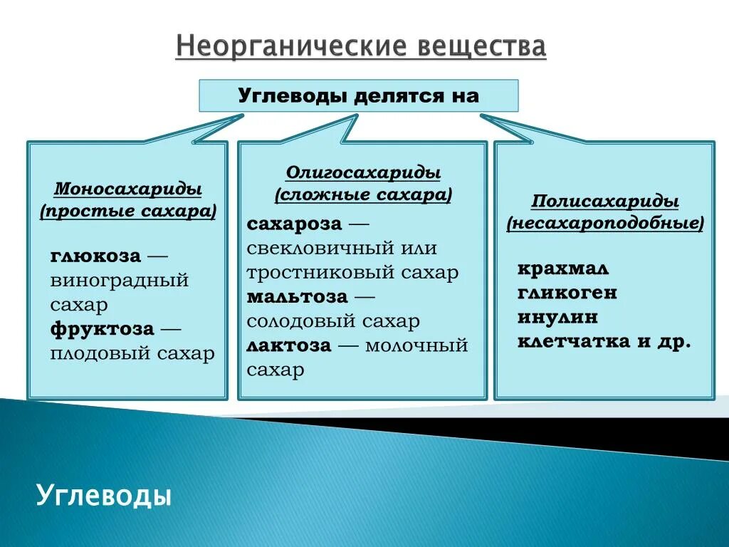 Делится на три основные группы