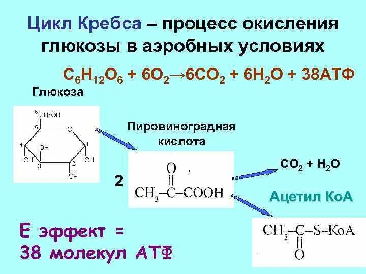 Окислением называется. Аэробное окисление Глюкозы формулы. Суммарная реакция окисления Глюкозы. Промежуточный продукт аэробного окисления Глюкозы. Реакции окисления Глюкозы о2.