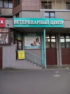 Ветклиника видное