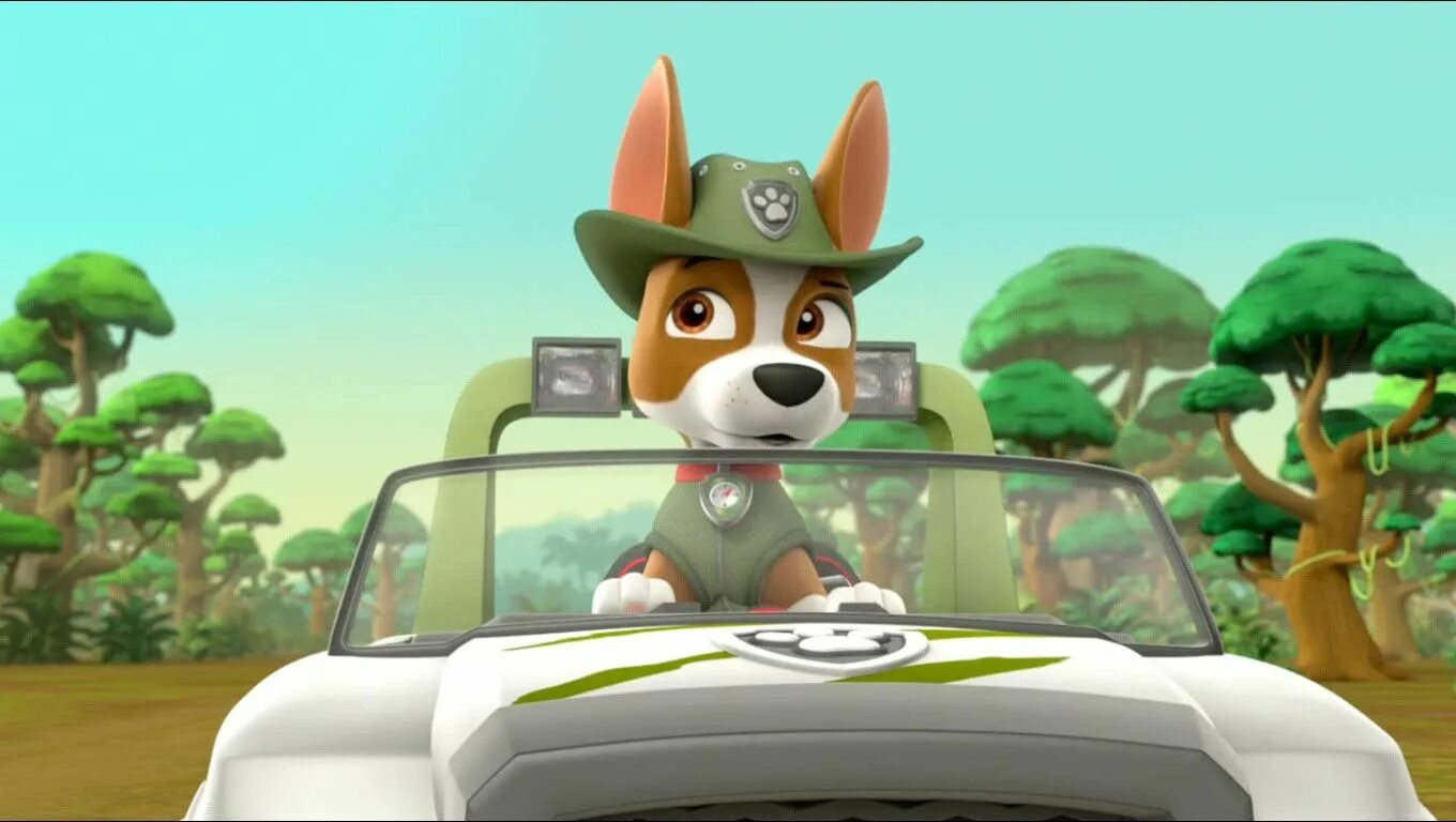 Best loop patrol