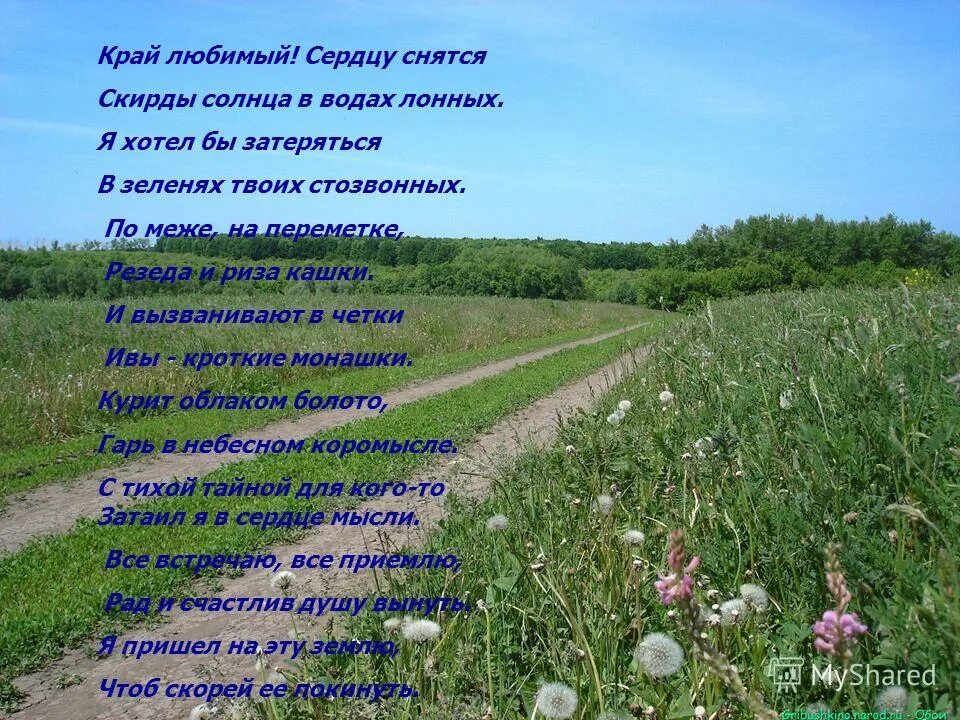 Край радостный край любимый. Мы любим наш край. Край радостный край любимый. Край любимый есенин. Пейзаж константиново родина есенина.