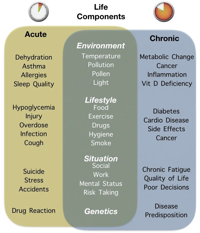 Acute перевод. Infectious diseases examples. Acute meaning. Chronic illnesses examples.