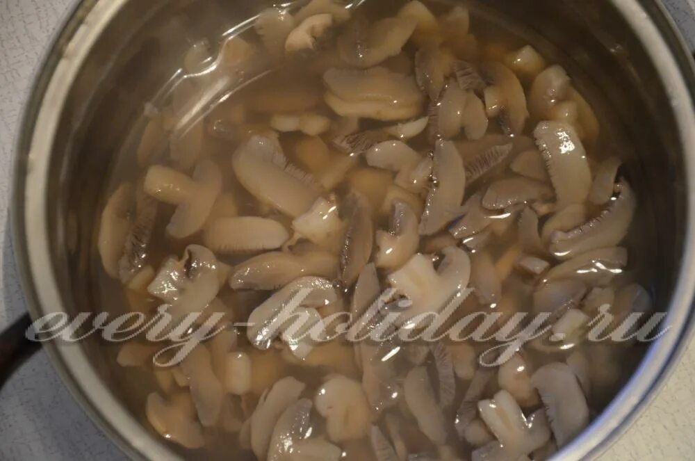 можно ли оставлять грибы на ночь. черви белые в грибах опята после варки. можно ли оставлять грибы на ночь. можно ли оставлять грибы на ночь. можно ли оставлять грибы на ночь.