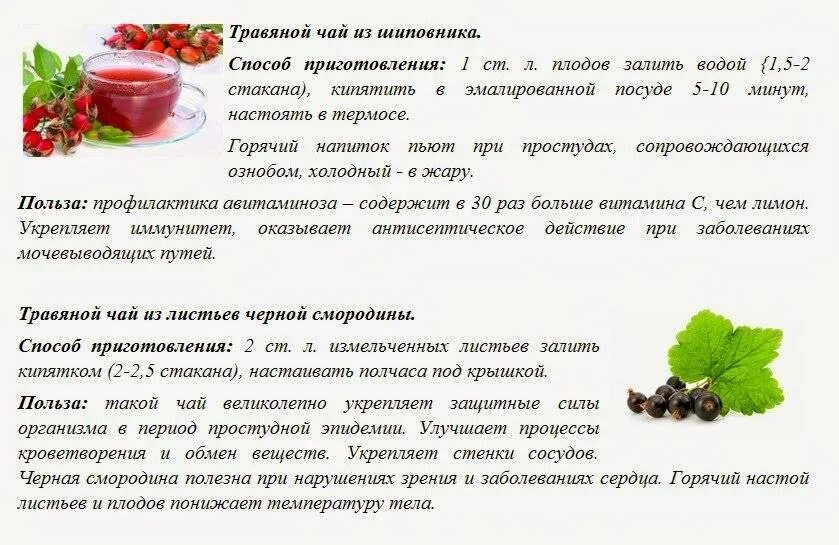 Можно ли давать шиповник детям