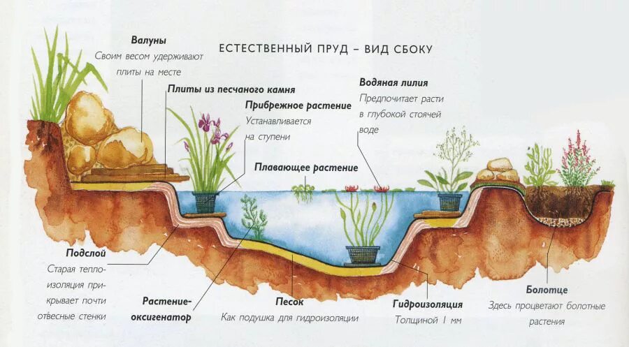 Конструкция водоема. Схема устройства искусственных водоемов. Разрез искусственного водоема. Искусственный пруд в разрезе. Схема пруда на даче.