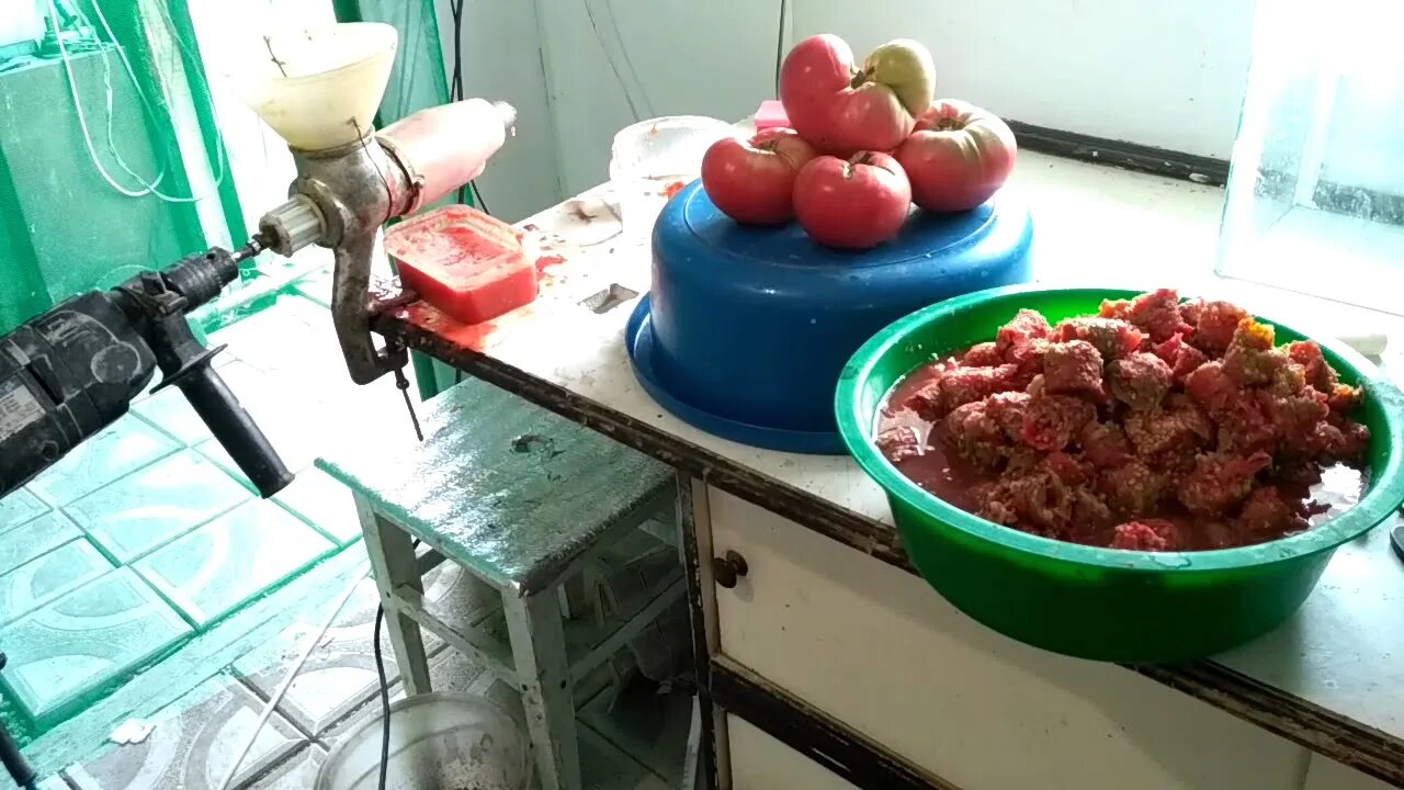 Видео как собрать семена помидор. Семена своими руками из помидоров. как приготовить семена томатов из своих помидор. как собрать семена со своих помидор.