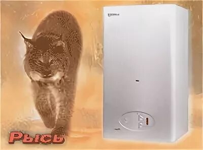 Настенный котел рысь. Протерм Рысь 28 турбо. Protherm Рысь 23 BTV / BOV насос. Котел Протерм двухконтурный настенный. Котел Протерм двухконтурный настенный 2000 года.