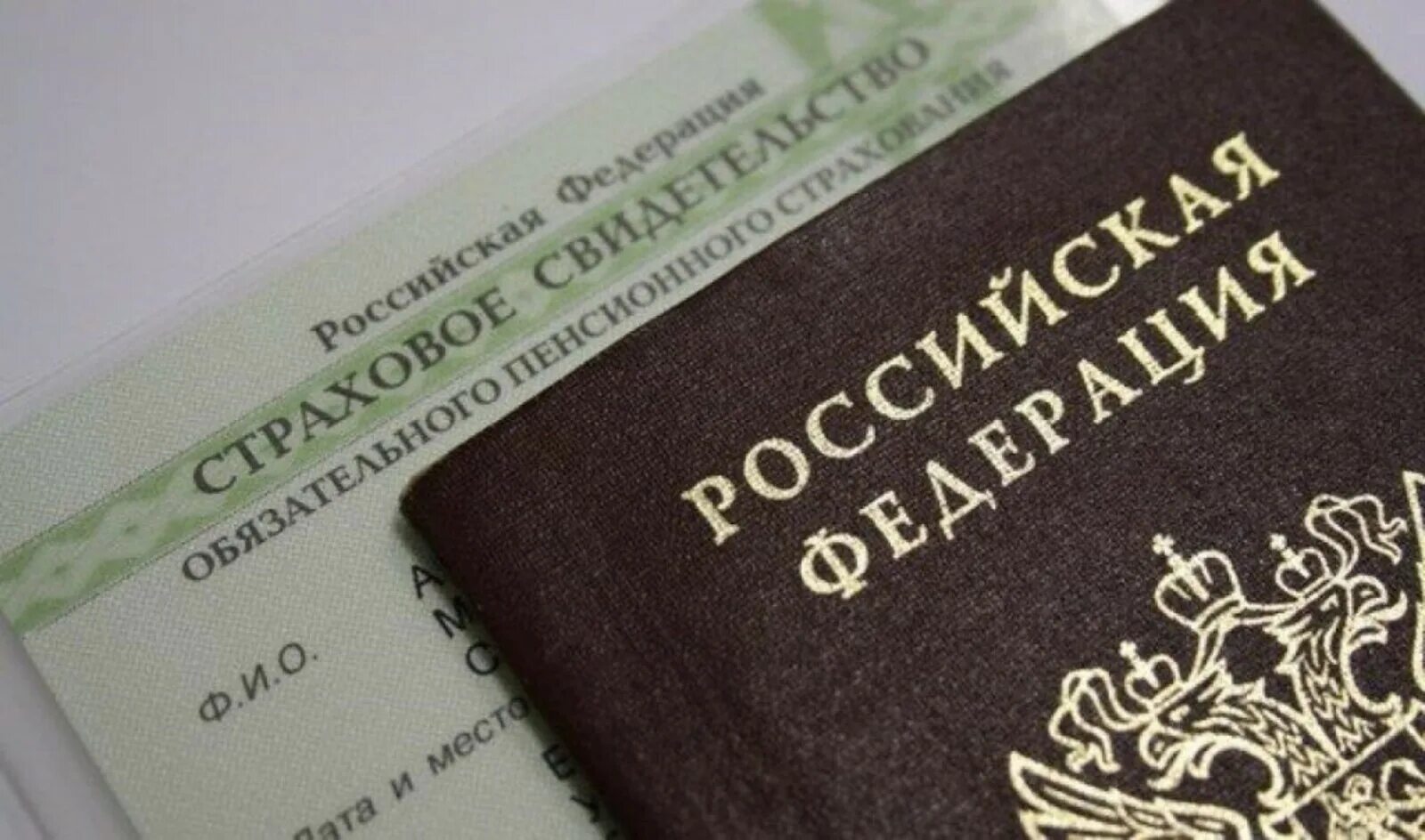 Почему нельзя снилс. СНИЛС. Passport СНИЛС. Страховой номер индивидуального лицевого счёта.