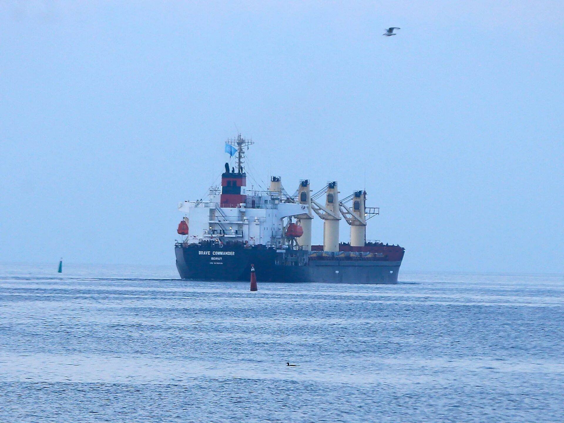 Несколько судов. Судно Baltic Petrel. Судно с продовольствием. Новый порт.