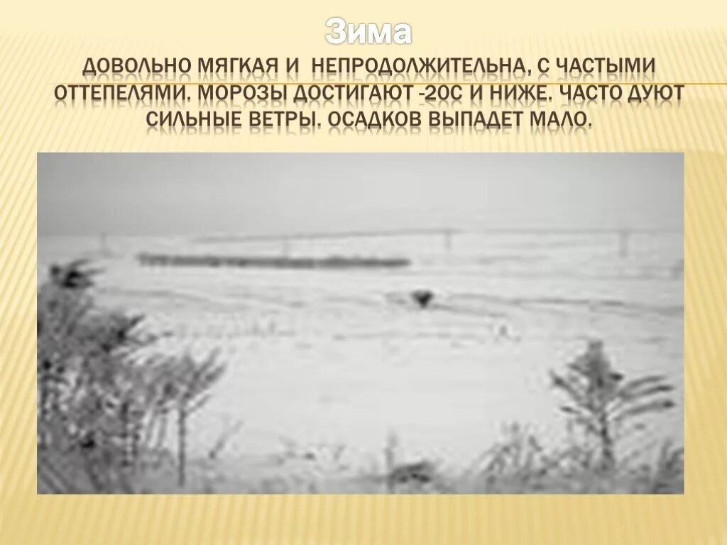 Угадай природную зону по описанию здесь