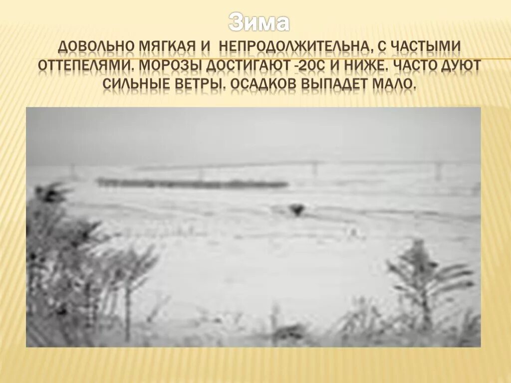 В какой природной зоне сильные ветры. Степь зимой описание. Описание зимы в степи. Степь зимой 4 класс. Зима мягкая с частыми оттепелями.