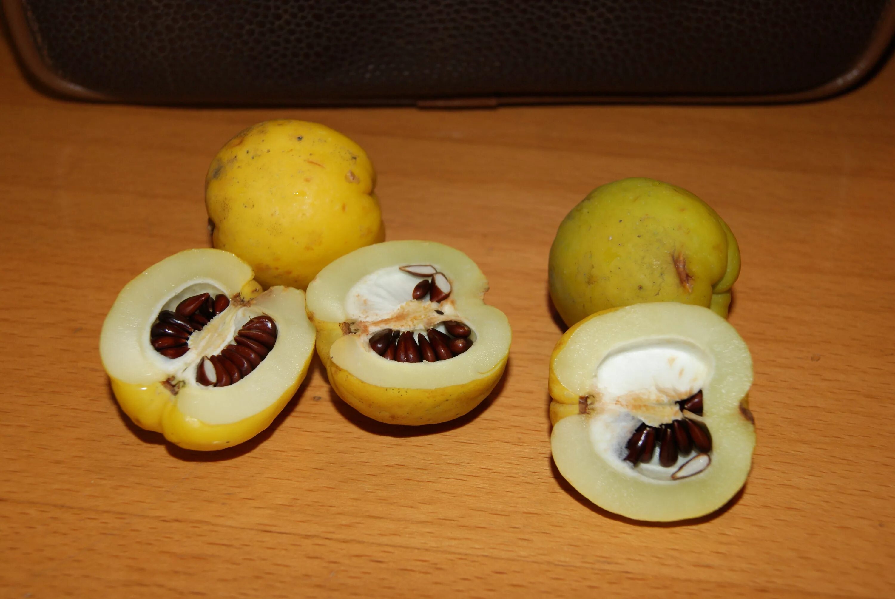 Семена айвы японской. Японская айва плоды. Мини айва. Айва японская вкус плодов.