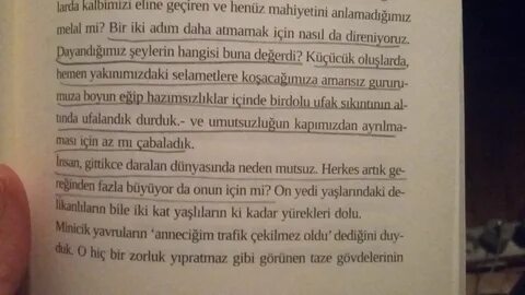 01.02.2017 23:03. geri. nekonusuyorbuinsanlar. 