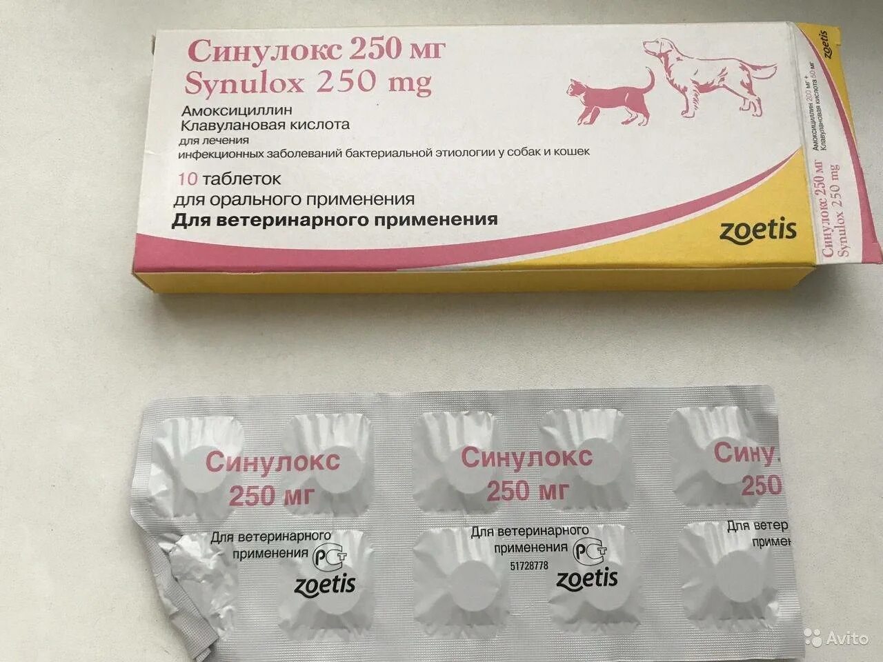 Синулокс от чего. Синулокс 250 мг таблетки. синулокс для кошек 500мг. синулокс 50 мг таблетки. синулокс 250 для кошек.