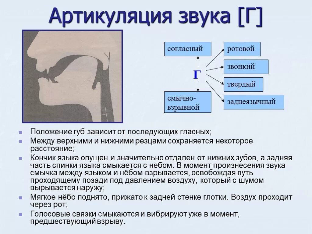 Артикуляция б. Профили артикуляции заднеязычных звуков. Правильная артикуляция звука л в логопедии. Логопедические профили артикуляции звука л. Артикуляция звука г и гь.